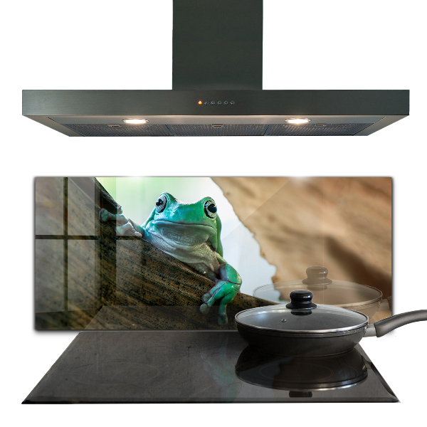 Spatscherm keuken glas Nieuwsgierige kikker op een blad