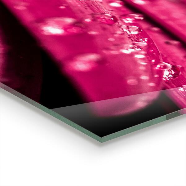 Achterwand keuken Roze plantenbloem