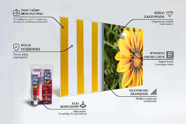 Keuken achterwand glas Gele bloem in de weide