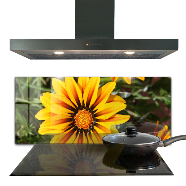 Keuken achterwand glas Gele bloem in de weide