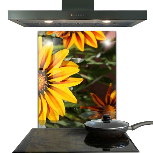 Keuken achterwand glas Gele bloem in de weide