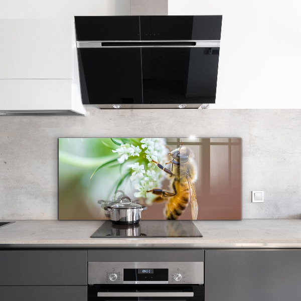 Keuken achterwand glas Bijen die stuifmeel verzamelen