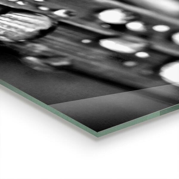 Spatplaat keuken Rozenblad zwart-wit