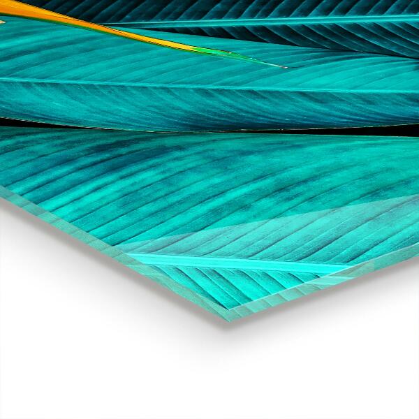 Achterwand keuken Tropische exotische bloem