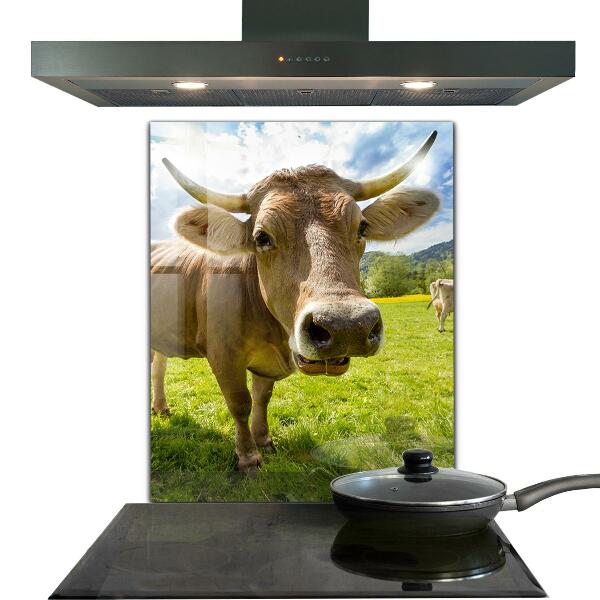 Achterwand keuken Landelijk klimaat Koeienveld