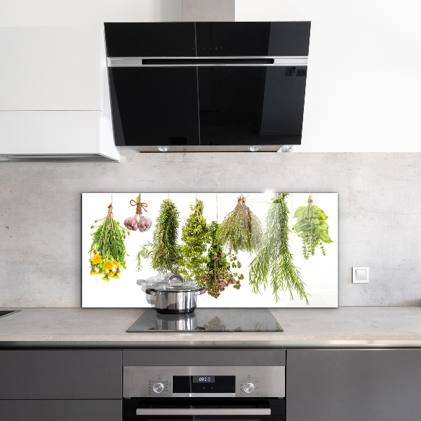 Spatscherm keuken glas Gedroogde kruiden, kruidengeneeskunde