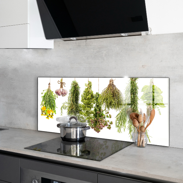 Spatscherm keuken glas Gedroogde kruiden, kruidengeneeskunde