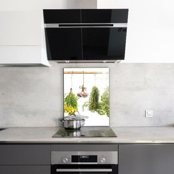 Spatscherm keuken glas Gedroogde kruiden, kruidengeneeskunde