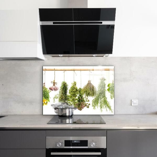 Spatscherm keuken glas Gedroogde kruiden, kruidengeneeskunde