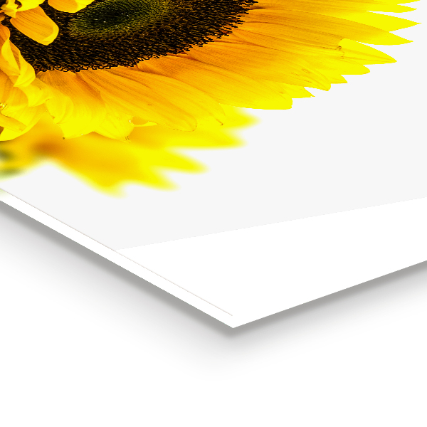 Foto achterwand keuken Zomerse zonnebloemboeket