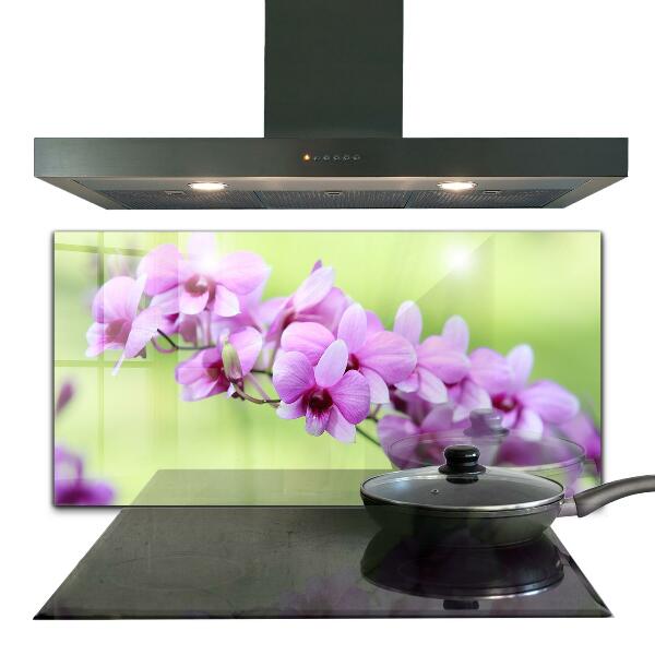 Keuken achterwand glas Paarse orchidee