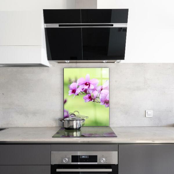 Keuken achterwand glas Paarse orchidee