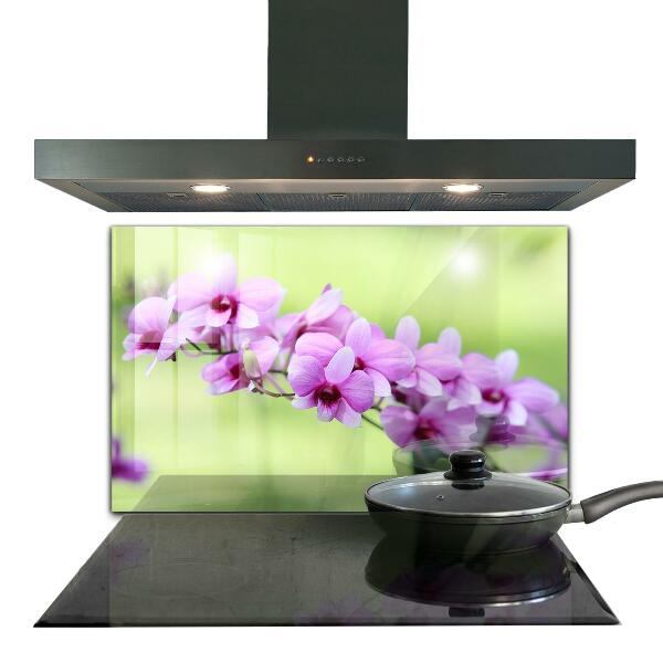 Keuken achterwand glas Paarse orchidee