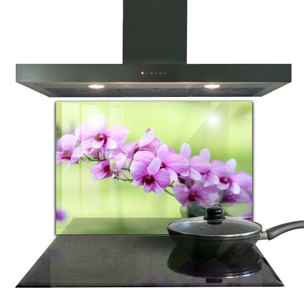 Keuken achterwand glas Paarse orchidee