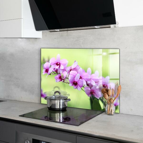 Keuken achterwand glas Paarse orchidee