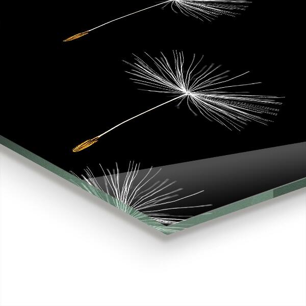 Foto achterwand keuken Paardenbloemen in de wind