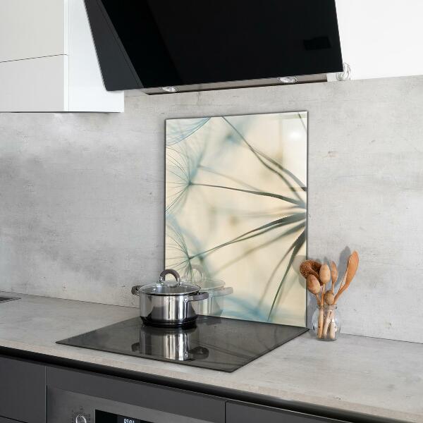 Spatplaat keuken Prachtige, delicate paardenbloem