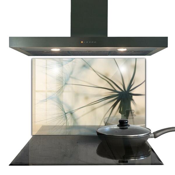 Spatplaat keuken Prachtige, delicate paardenbloem