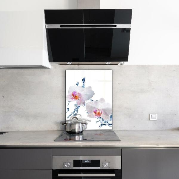 Keuken achterwand glas Waterdoordrenkte orchidee