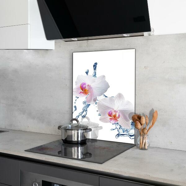Keuken achterwand glas Waterdoordrenkte orchidee