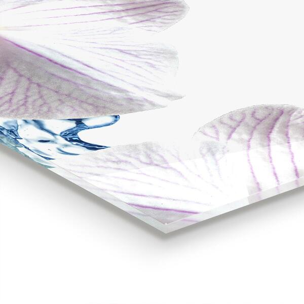 Keuken achterwand glas Waterdoordrenkte orchidee