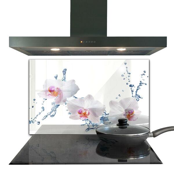 Keuken achterwand glas Waterdoordrenkte orchidee