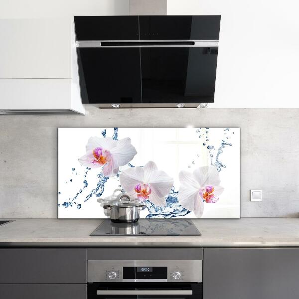 Keuken achterwand glas Waterdoordrenkte orchidee