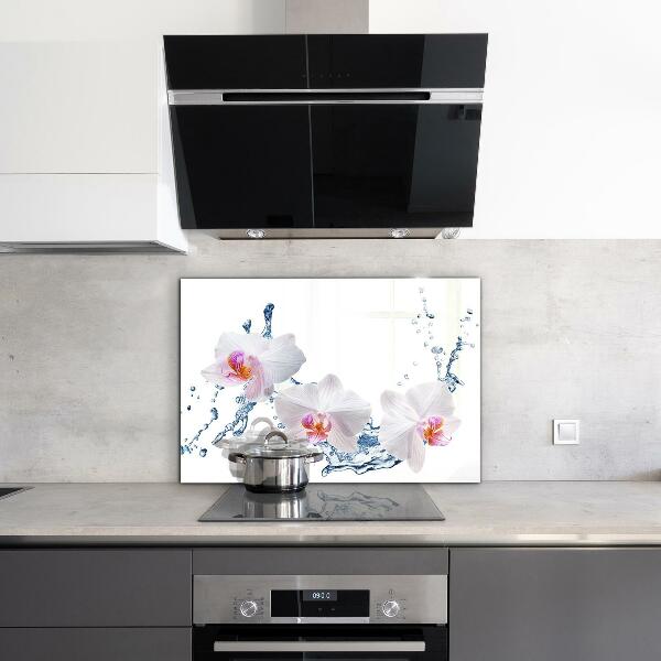 Keuken achterwand glas Waterdoordrenkte orchidee