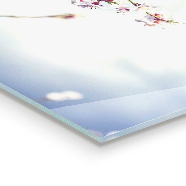 Foto achterwand keuken Delicate roze bloemen