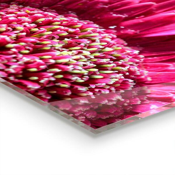Achterwand keuken Roze bloemdetails Natuur