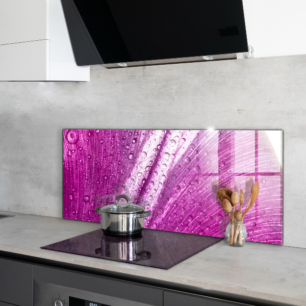 Spatscherm keuken glas Delicaat roze blad