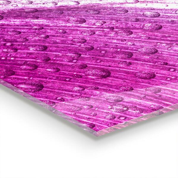 Spatscherm keuken glas Delicaat roze blad