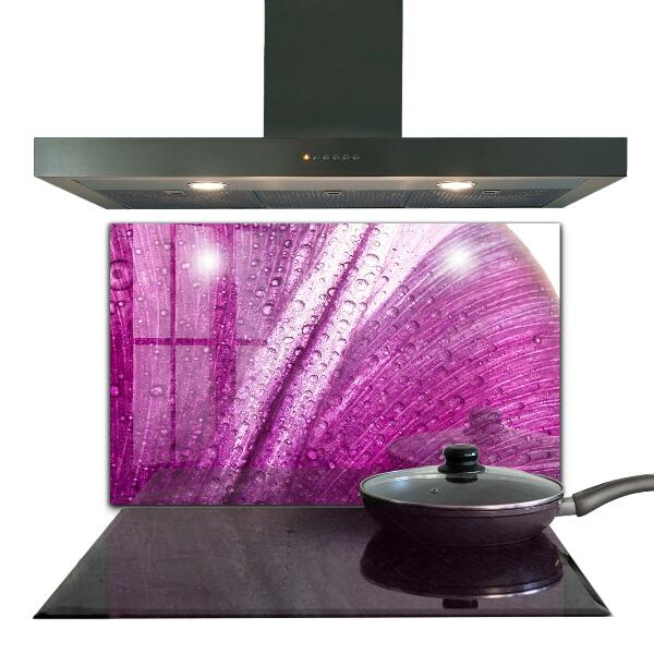 Spatscherm keuken glas Delicaat roze blad