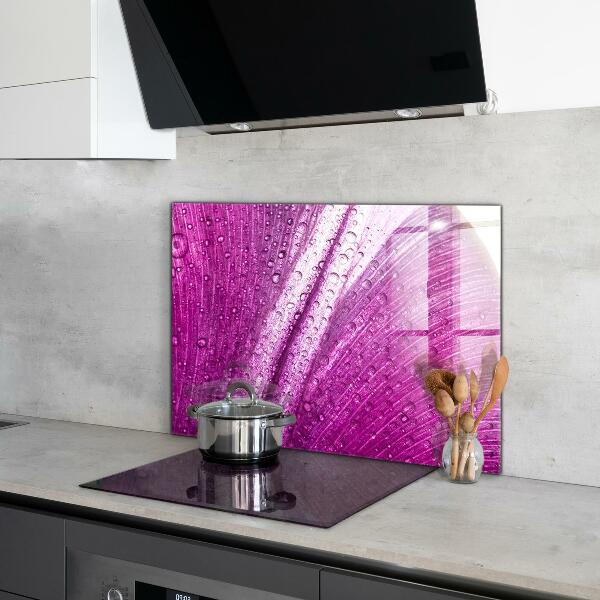 Spatscherm keuken glas Delicaat roze blad