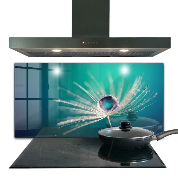 Keuken achterwand glas Paardenbloem met een dauwdruppel