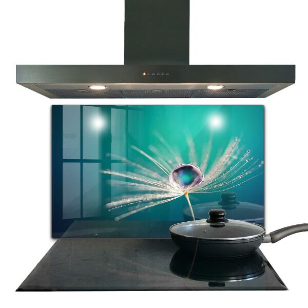 Keuken achterwand glas Paardenbloem met een dauwdruppel