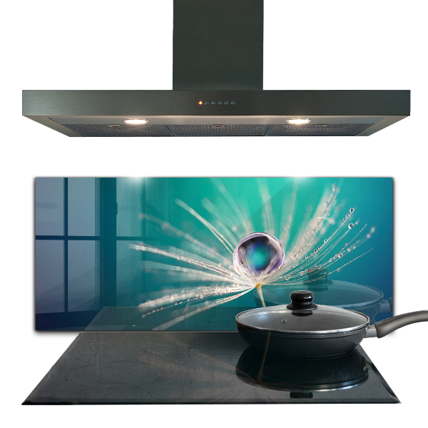Keuken achterwand glas Paardenbloem met een dauwdruppel