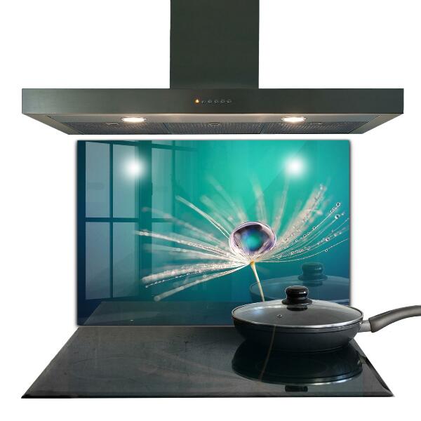 Keuken achterwand glas Paardenbloem met een dauwdruppel