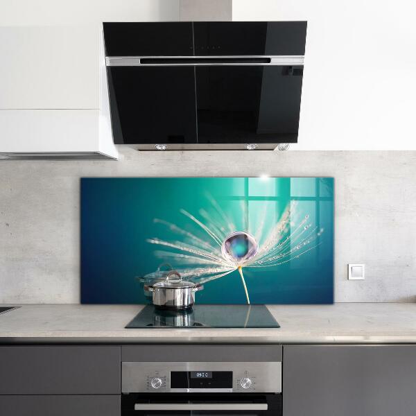 Keuken achterwand glas Paardenbloem met een dauwdruppel