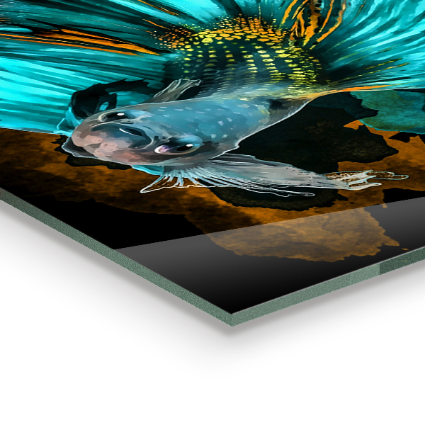 Foto achterwand keuken Tropische vis Betta