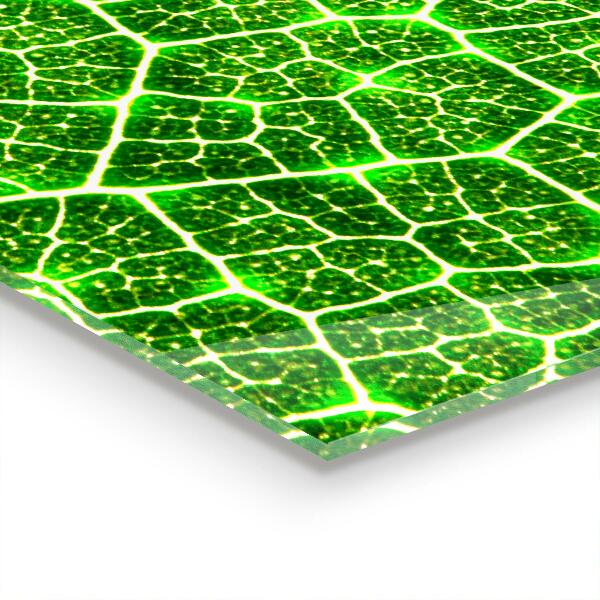 Spatplaat keuken De kracht van groene plantkunde