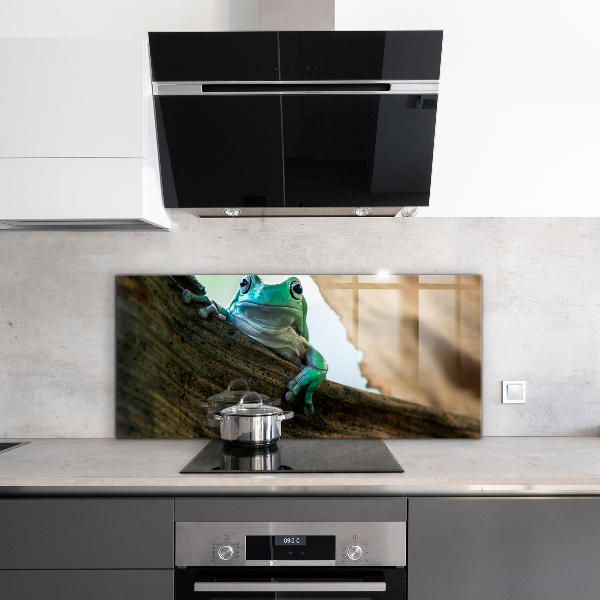 Spatplaat keuken Portret van een Afrikaanse kikker