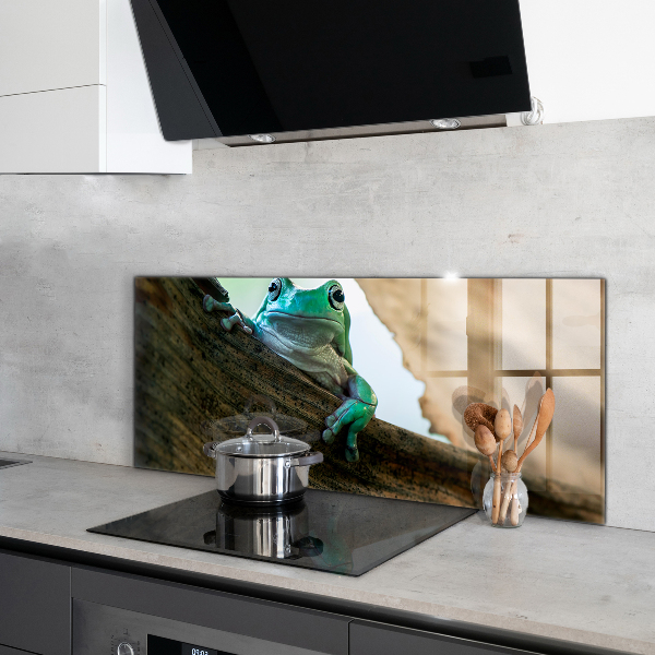 Spatplaat keuken Portret van een Afrikaanse kikker