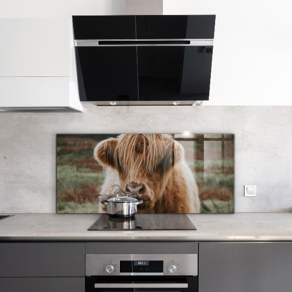 Spatscherm keuken glas Cow Highland-stijl cottage