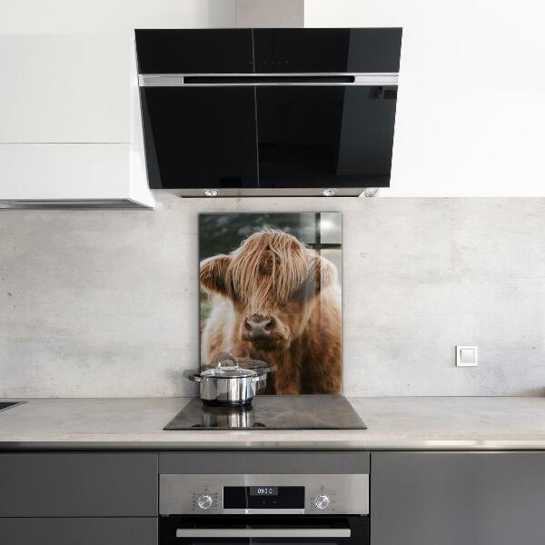 Spatscherm keuken glas Cow Highland-stijl cottage