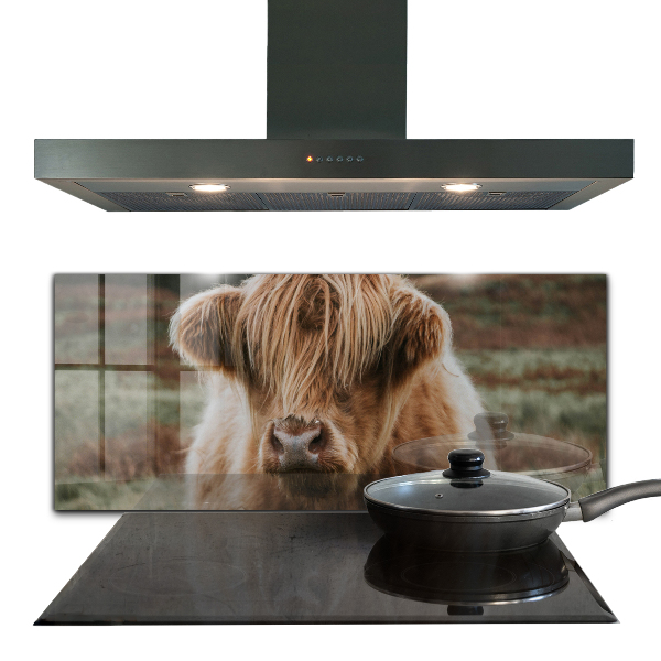 Spatscherm keuken glas Cow Highland-stijl cottage