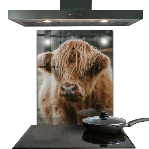 Spatscherm keuken glas Cow Highland-stijl cottage