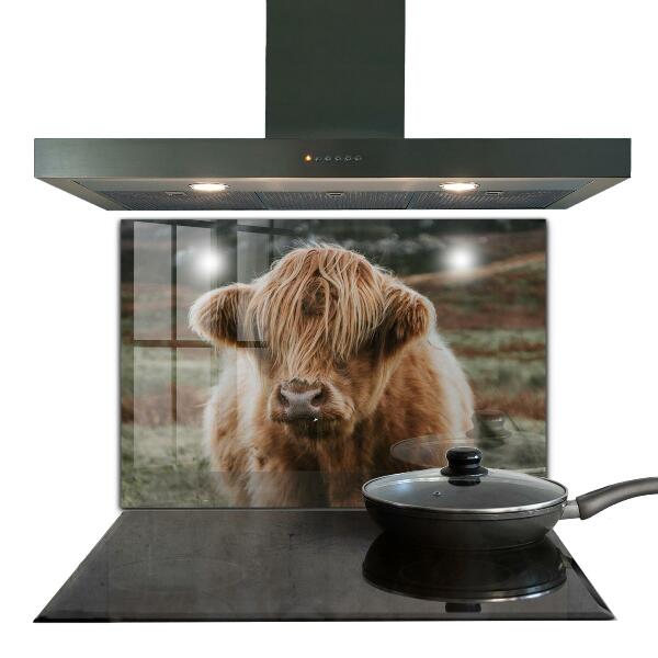 Spatscherm keuken glas Cow Highland-stijl cottage