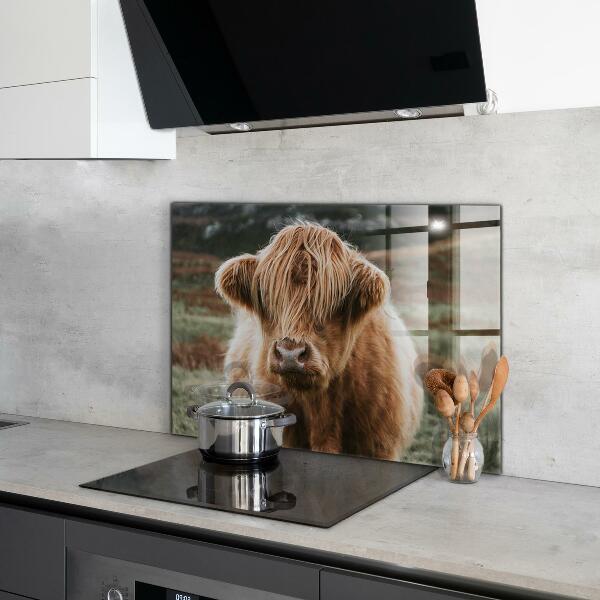 Spatscherm keuken glas Cow Highland-stijl cottage