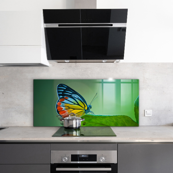 Foto achterwand keuken Vlinder die rust op een blad